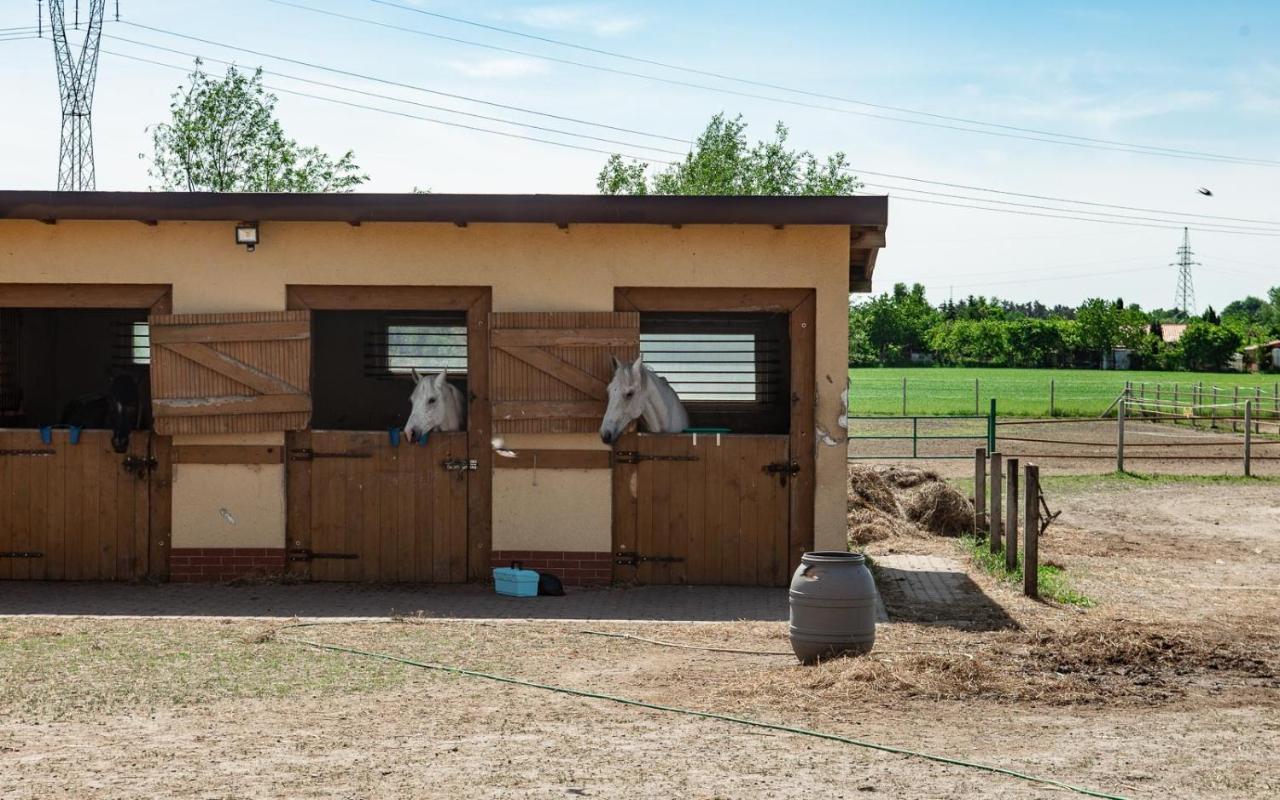 Podkowa Villa Police Kültér fotó